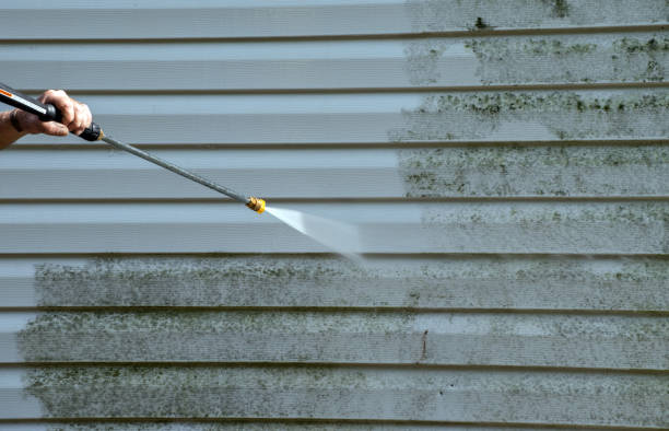 Best Driveway Cleaning and Restoration in Breckenridge, MN